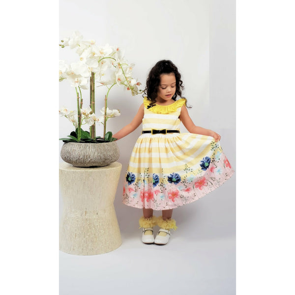 Girl's Yellow and floral stripe Dress